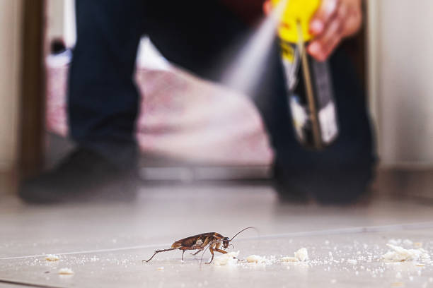 Pest Control Cost in Valley Park, MO